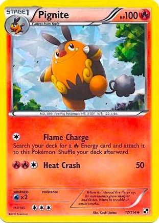 Pignite 017/114 - Holofoil Miscellaneous Cards & Products - Promo