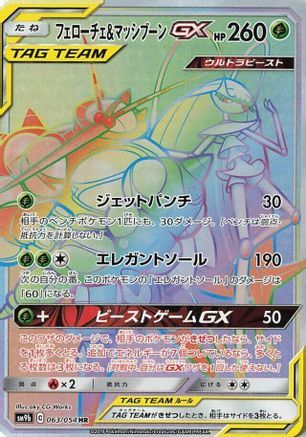 Pheromosa & Buzzwole - 063/054 (063/054) - SM9b Full Metal Wall Holofoil
