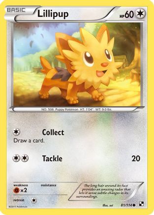 Lillipup (81) 081 - Reverse Holofoil Black and White - Common