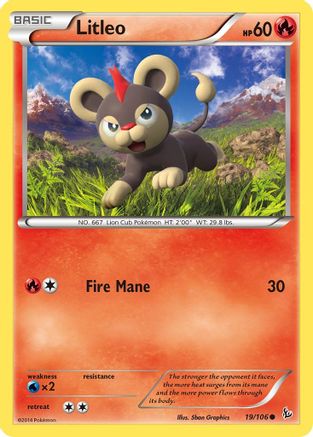 Litleo (19) 019 XY Flashfire - Common