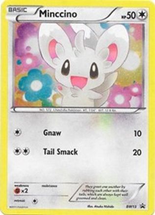Minccino - BW13 (Cracked Ice Holo) - Holofoil Black and White Promos - Promo