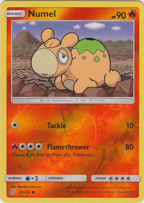 Numel - 23/236 - Common - Reverse Holofoil