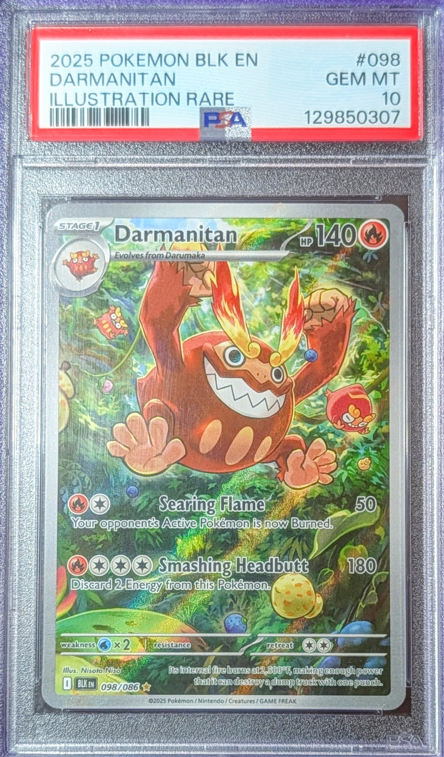 PSA 10 Darmanitan 098/086