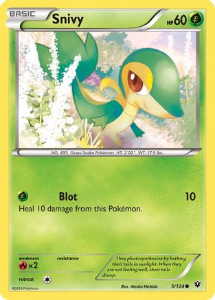 Snivy 005/124  XY  Fates Collide - Common