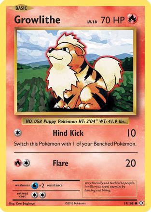 Growlithe 017/108  XY  Evolutions - Common
