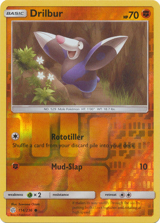Drilbur - 114/236 - Common - Reverse Holofoil