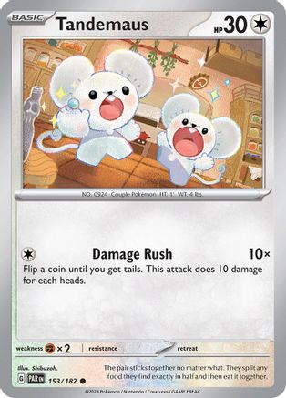 Tandemaus 153/182  SV04 Paradox Rift - Common