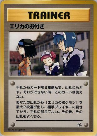 Erika's Maids  - Leaders Stadium