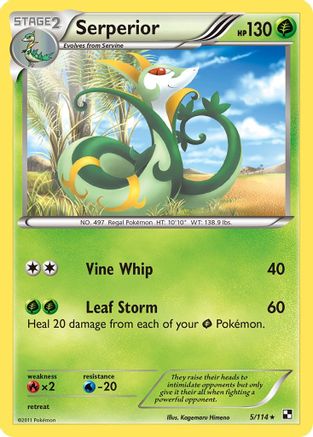 Serperior (5) 005  - Holofoil Black and White - Holo Rare