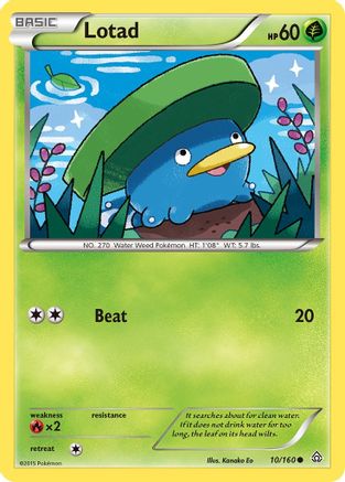 Lotad 010/160  XY  Primal Clash - Common