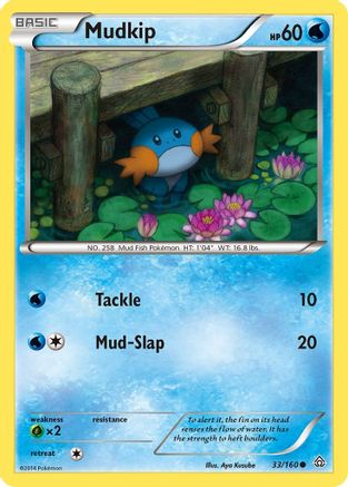 Mudkip 033/160  XY  Primal Clash - Common
