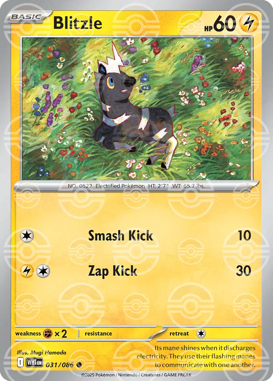 Blitzle (Poke Ball Pattern) - 031/086 - Common