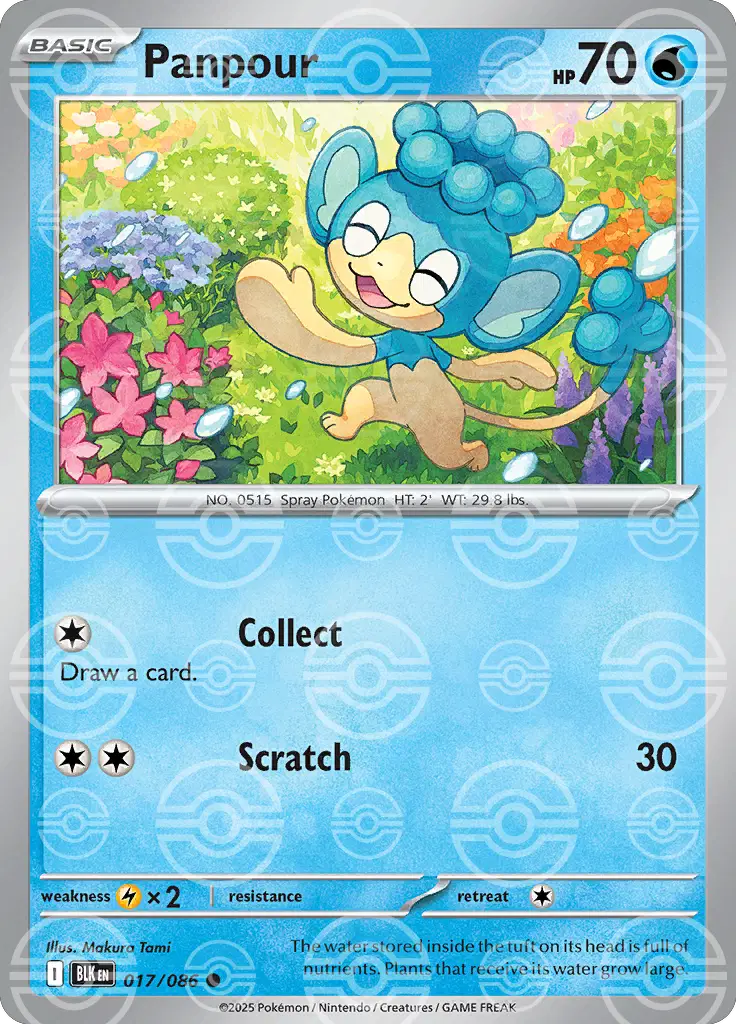Panpour (Poke Ball Pattern) - 017/086 - Common