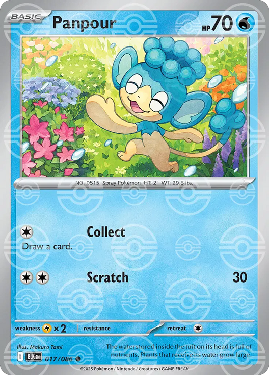 Panpour (Poke Ball Pattern) - 017/086 - Common