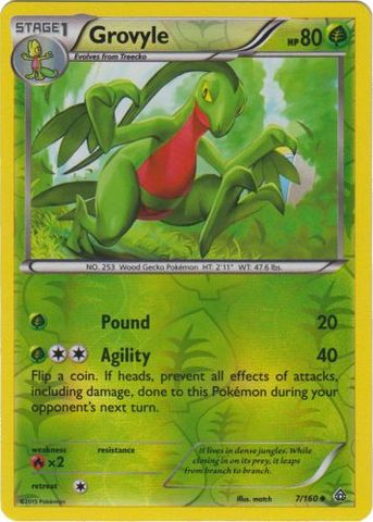 Grovyle - 7/160 - Uncommon - Reverse Holo