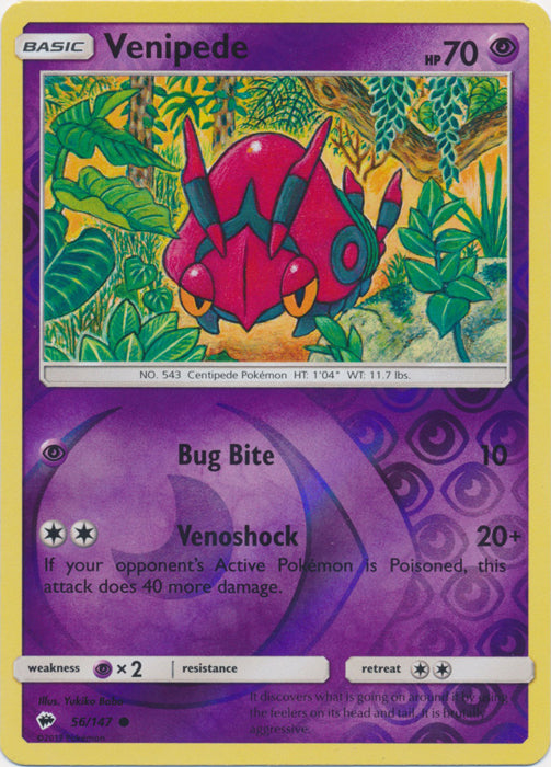 Venipede - 56/147 - Common - Reverse Holofoil