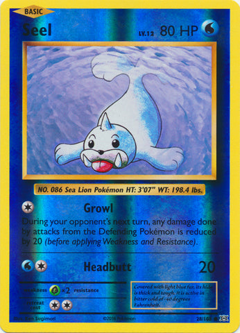 Seel - 28/108 - Common - Reverse Holofoil