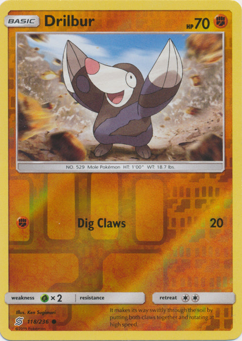 Drilbur - 118/236 - Common - Reverse Holofoil